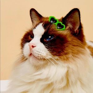 Pets hair accessories ❤️